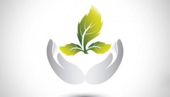 Environnement